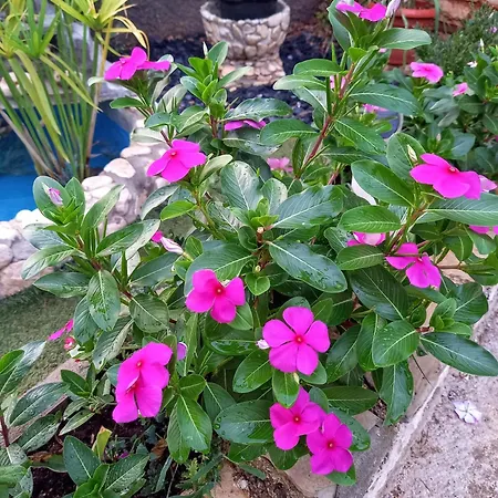 Kaiserwald Apartament