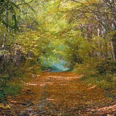 Kaiserwald Apartmán
