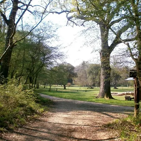 Kaiserwald
